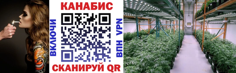 Каннабис план  Купить закладки  Кущёвская 